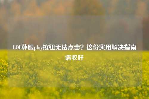 LOL韩服play按钮无法点击?这份实用解决指南请收好