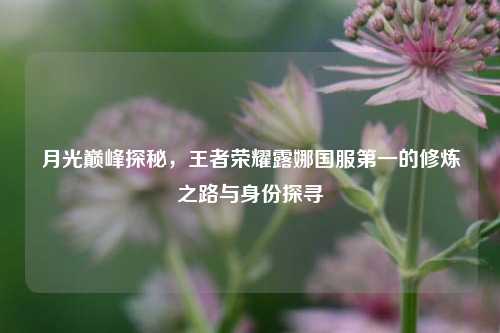 月光巅峰探秘,王者荣耀露娜国服第一的修炼之路与身份探寻
