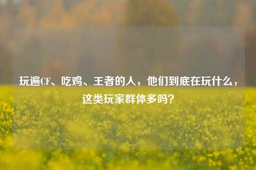 玩遍CF、吃鸡、王者的人,他们到底在玩什么,这类玩家群体多吗?