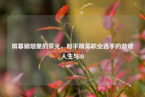 屏幕硝烟里的荣光,和平精英职业选手的游戏人生与ID