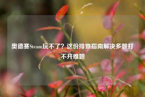 奥德赛Steam玩不了?这份排查指南解决多数打不开难题
