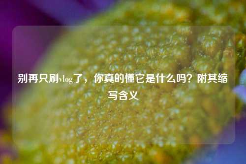 别再只刷vlog了，你真的懂它是什么吗？附其缩写含义