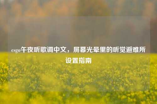 csgo午夜听歌调中文,屏幕光晕里的听觉避难所设置指南