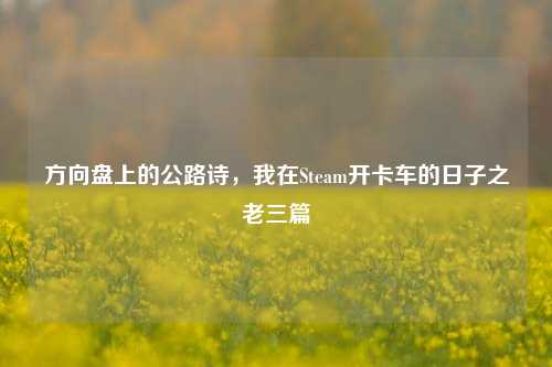方向盘上的公路诗，我在Steam开卡车的日子之老三篇