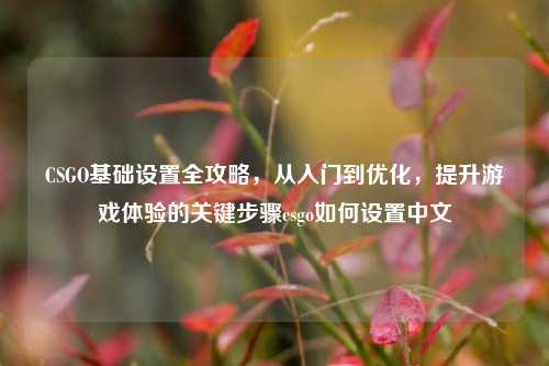 CSGO基础设置全攻略,从入门到优化,提升游戏体验的关键步骤csgo如何设置中文