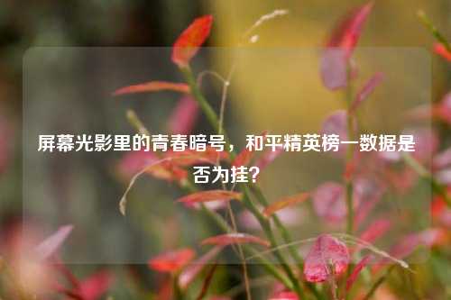 屏幕光影里的青春暗号,和平精英榜一数据是否为挂?