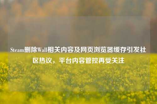 Steam删除Wall相关内容及网页浏览器缓存引发社区热议，平台内容管控再受关注