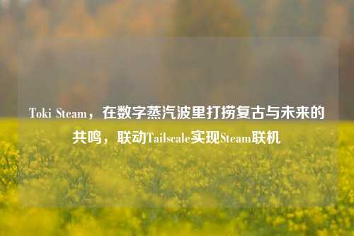 Toki Steam,在数字蒸汽波里打捞复古与未来的共鸣,联动Tailscale实现Steam联机