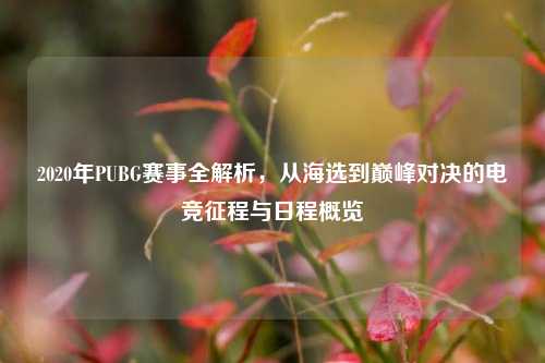 2020年PUBG赛事全解析,从海选到巅峰对决的电竞征程与日程概览