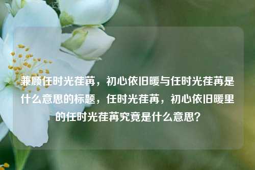 兼顾任时光荏苒,初心依旧暖与任时光荏苒是什么意思的标题,任时光荏苒,初心依旧暖里的任时光荏苒究竟是什么意思?
