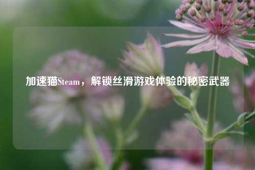 加速猫Steam,解锁丝滑游戏体验的秘密武器