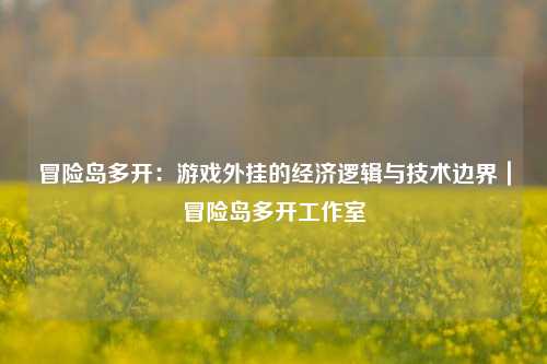 冒险岛多开:游戏外挂的经济逻辑与技术边界|冒险岛多开工作室