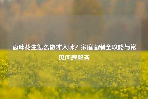 卤味花生怎么做才入味?家庭卤制全攻略与常见问题解答