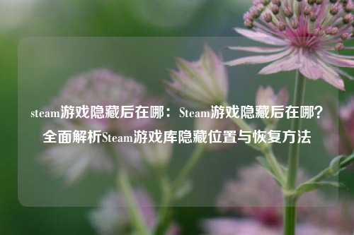 steam游戏隐藏后在哪:Steam游戏隐藏后在哪?全面解析Steam游戏库隐藏位置与恢复方法