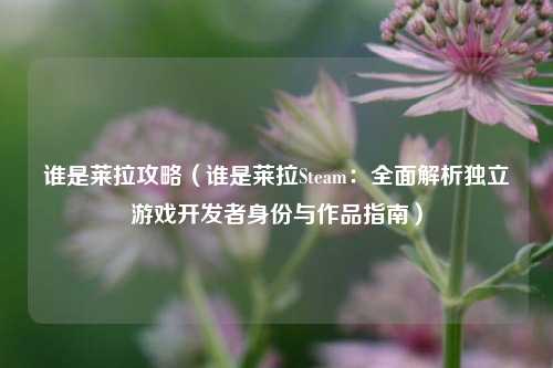 谁是莱拉攻略（谁是莱拉Steam：全面解析独立游戏开发者身份与作品指南）