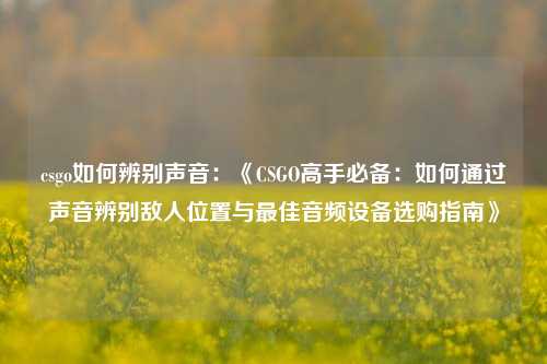 csgo如何辨别声音：《CSGO高手必备：如何通过声音辨别敌人位置与最佳音频设备选购指南》