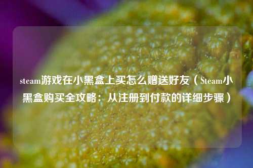 steam游戏在小黑盒上买怎么赠送好友(Steam小黑盒购买全攻略:从注册到付款的详细步骤)