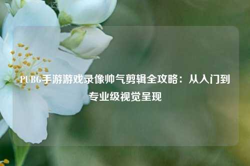 PUBG手游游戏录像帅气剪辑全攻略：从入门到专业级视觉呈现
