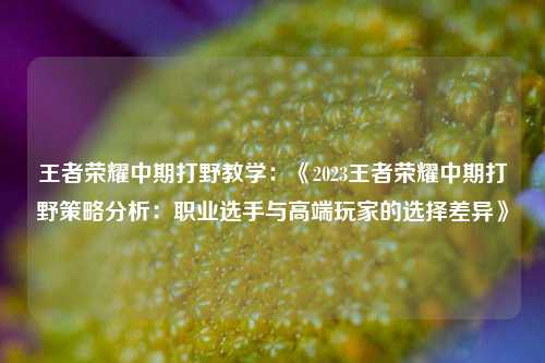 王者荣耀中期打野教学：《2023王者荣耀中期打野策略分析：职业选手与高端玩家的选择差异》