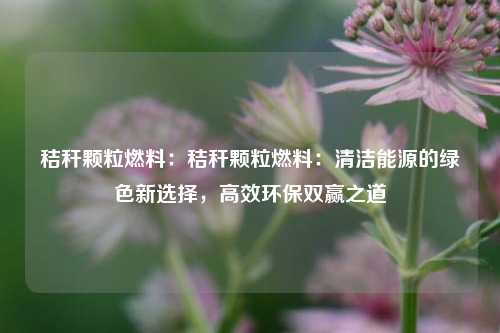 秸秆颗粒燃料:秸秆颗粒燃料:清洁能源的绿色新选择,高效环保双赢之道