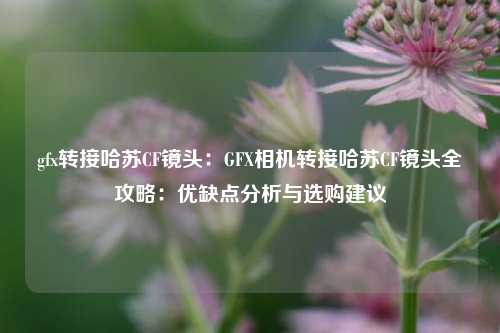 gfx转接哈苏CF镜头:GFX相机转接哈苏CF镜头全攻略:优缺点分析与选购建议