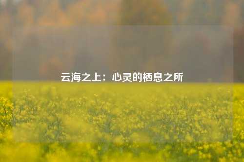 云海之上:心灵的栖息之所
