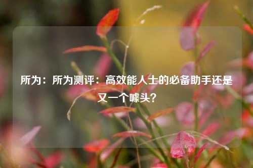 所为:所为测评:高效能人士的必备助手还是又一个噱头?