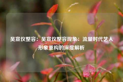 吴宣仪整容:吴宣仪整容现象:流量时代艺人形象重构的深度解析