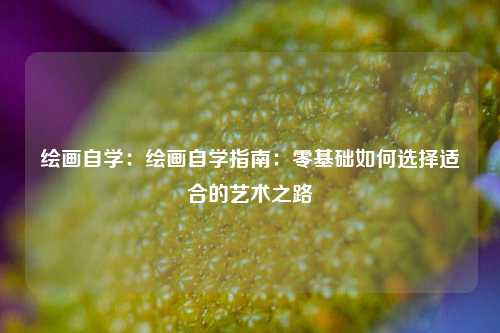 绘画自学:绘画自学指南:零基础如何选择适合的艺术之路