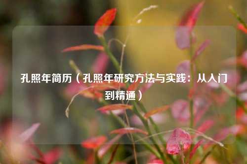 孔照年简历(孔照年研究方法与实践:从入门到精通)