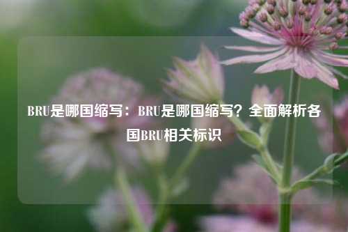 BRU是哪国缩写：BRU是哪国缩写？全面解析各国BRU相关标识