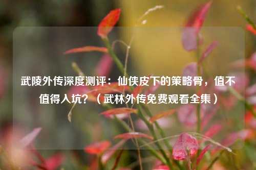 武陵外传深度测评:仙侠皮下的策略骨,值不值得入坑?(武林外传免费观看全集)